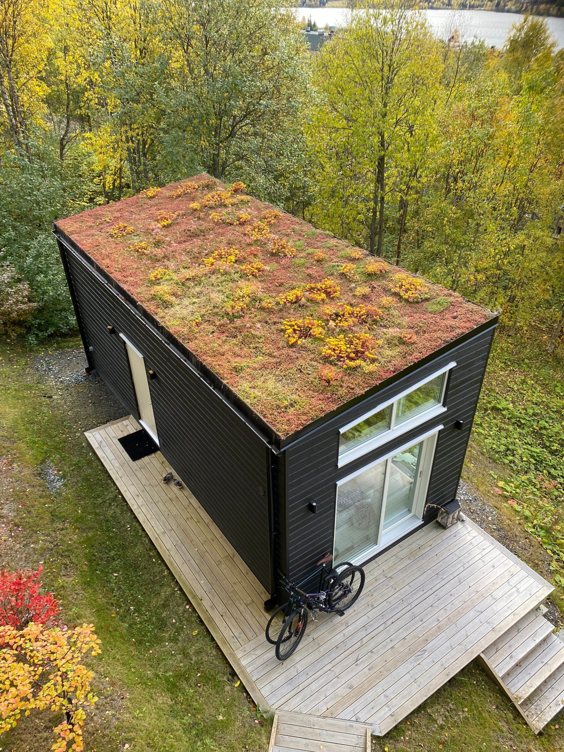 Attefallshus med sedumtak