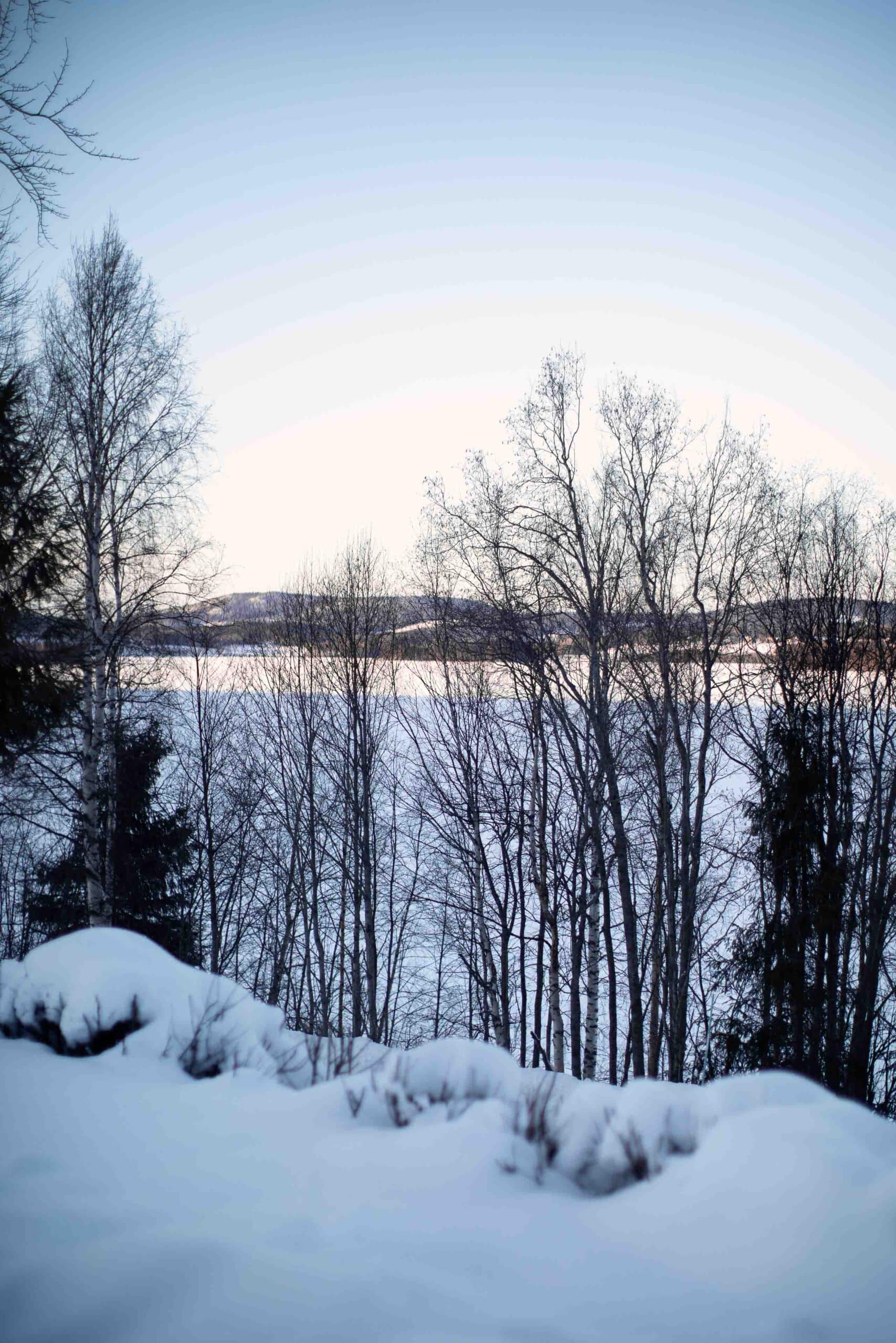 Vinterlandskap med sjö och träd